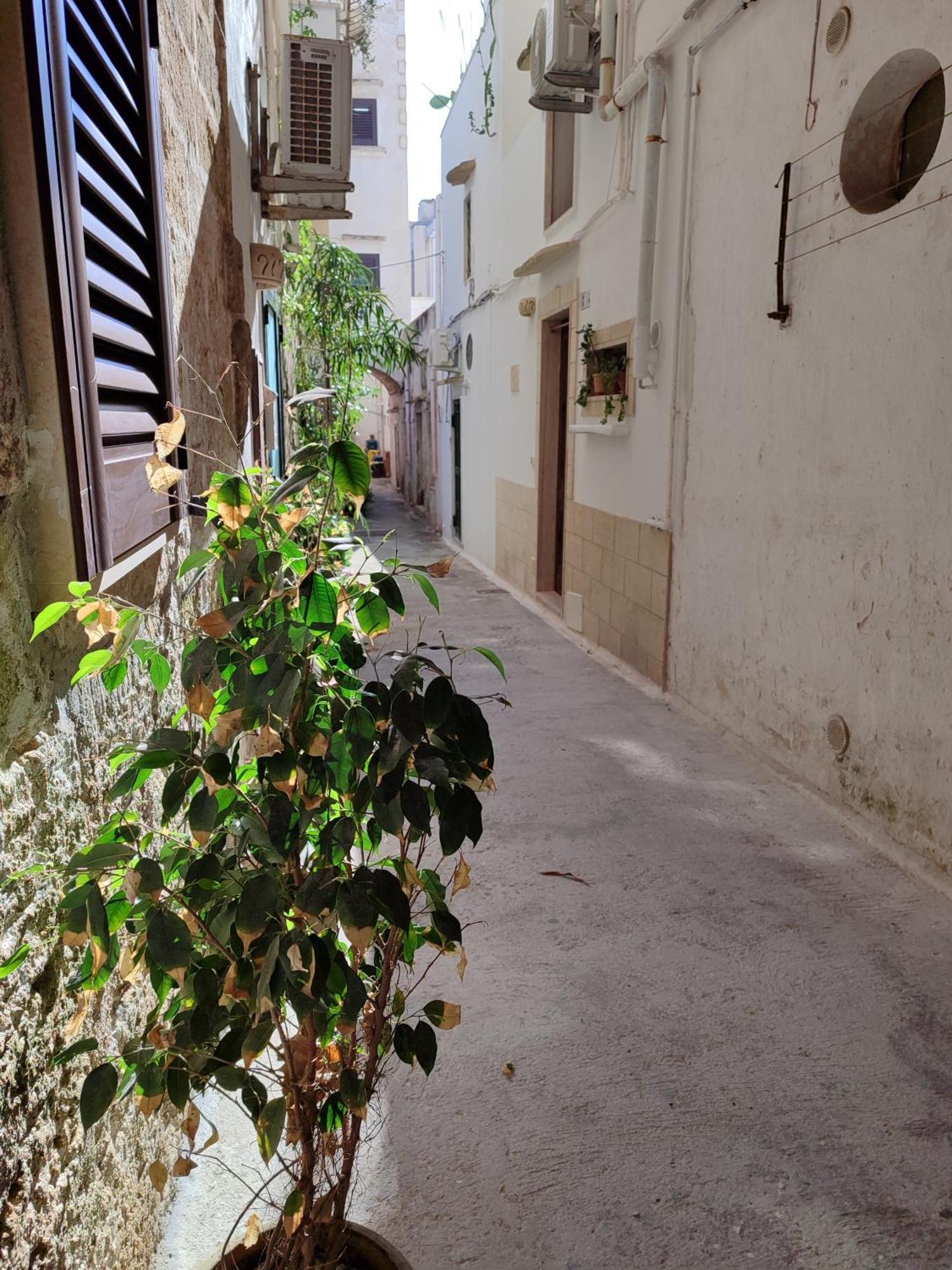 גאליפולי B&B Punta Cutieri מראה חיצוני תמונה
