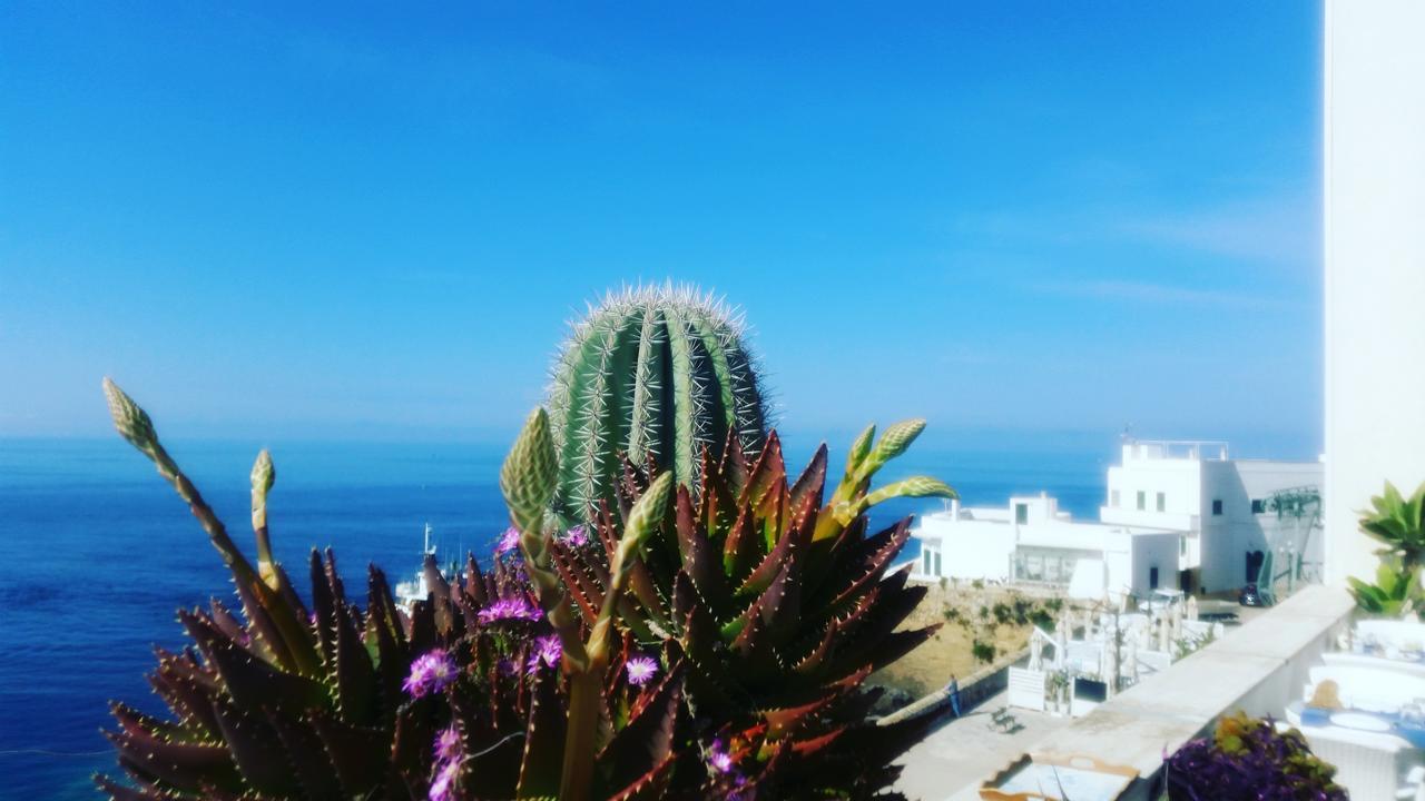 גאליפולי B&B Punta Cutieri מראה חיצוני תמונה